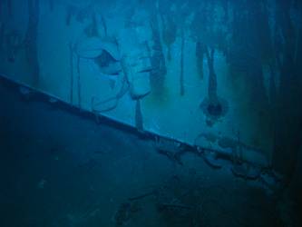 Ship's inverted bow